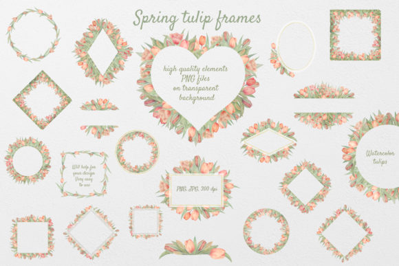 Set of 22 Tulip Watercolor Frames Decorative Elements