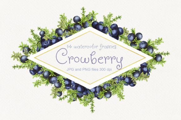 Watercolor Crowberry Frames for Decorative Elements