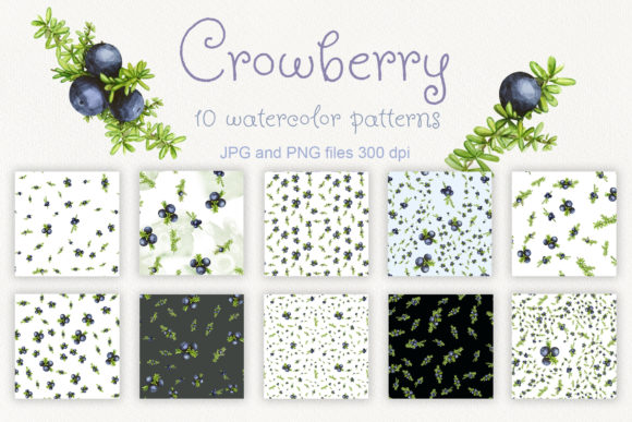 Watercolor Crowberry Patterns for Modern Branding